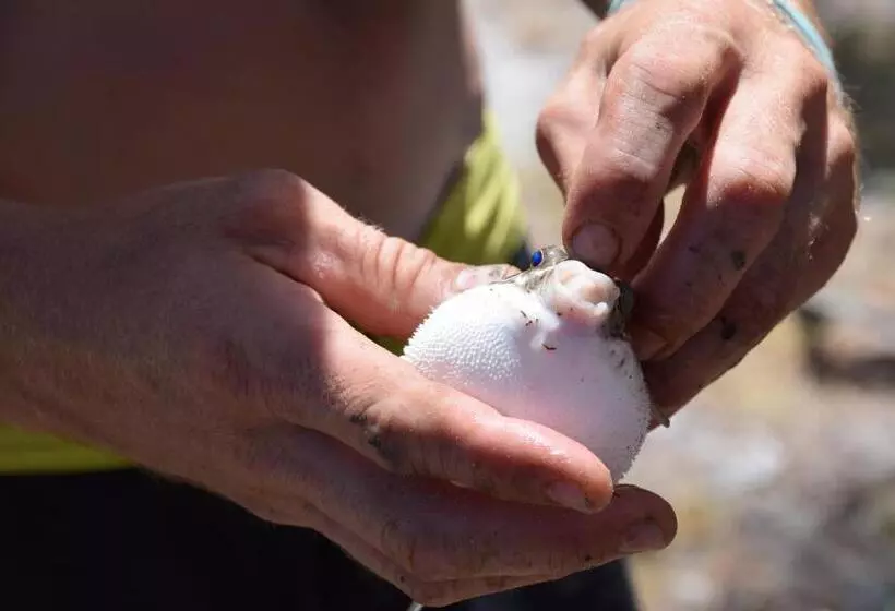 リゾートホテル Pura Vida Bahia