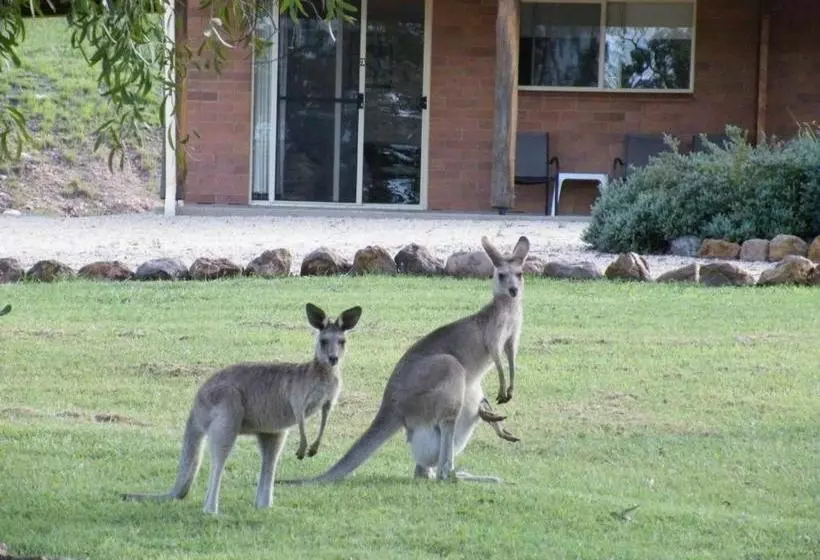 Rubyvale Motel & Holiday Units   An Adults Only Getaway