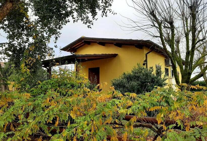 Отель Agriturismo Podere Bedin