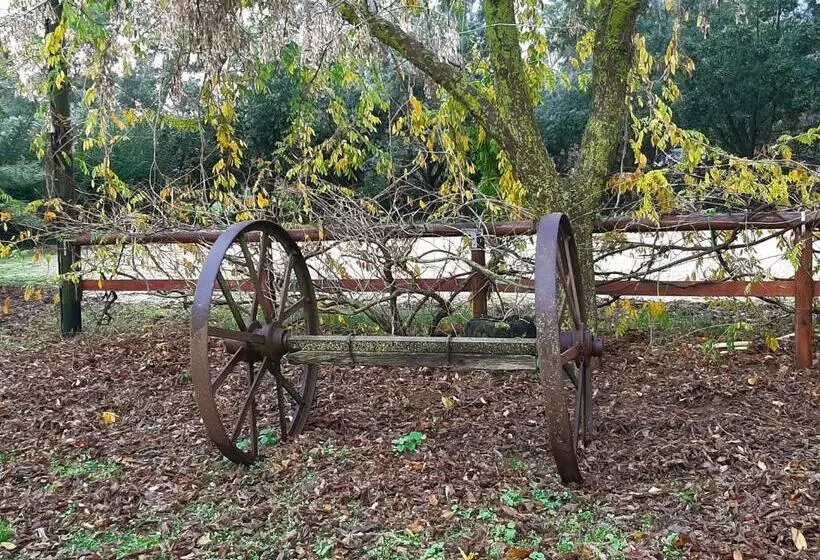 ホテル Agriturismo Podere Bedin