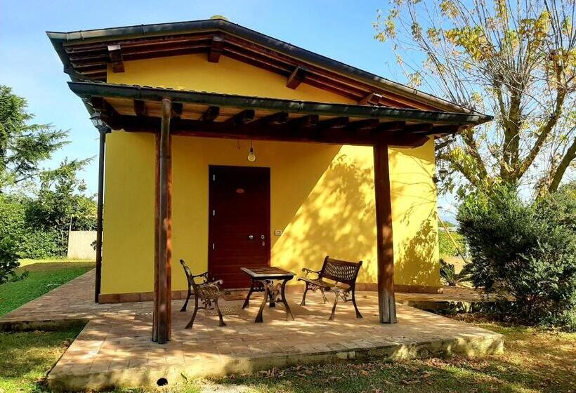 Отель Agriturismo Podere Bedin