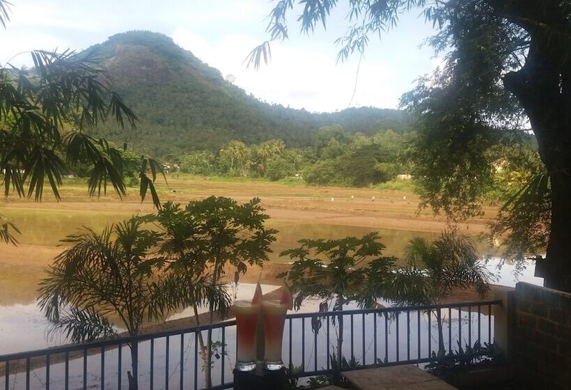 בית מלון כפרי Asliya Regency