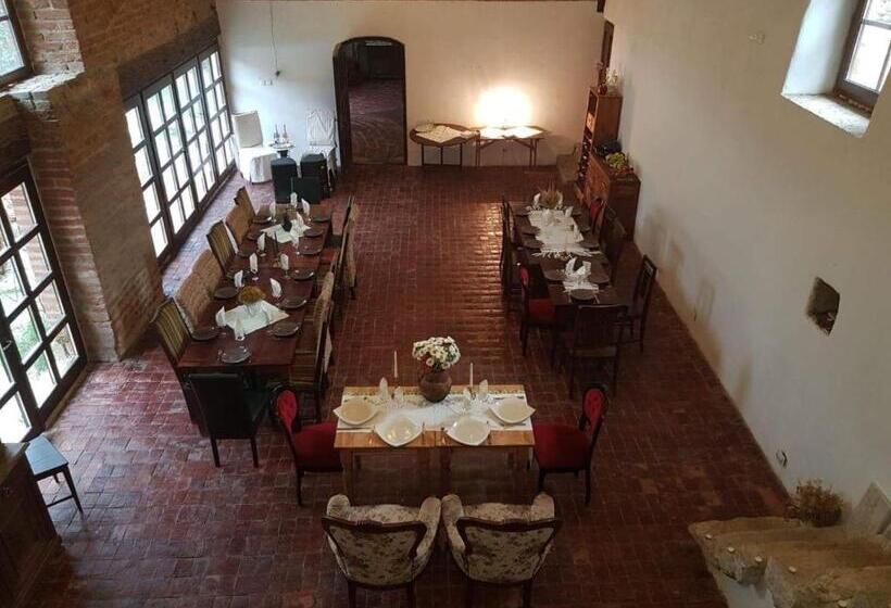 Отель Casa Thea Cheile Nerei