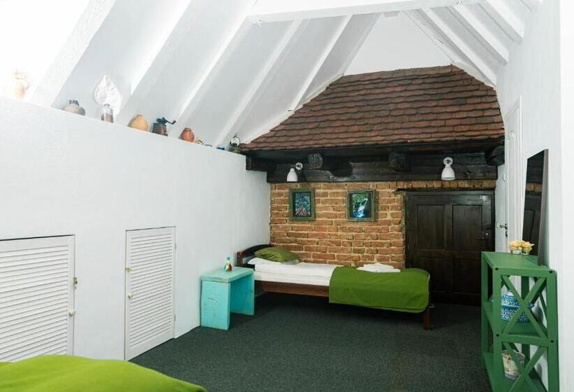 Отель Casa Thea Cheile Nerei