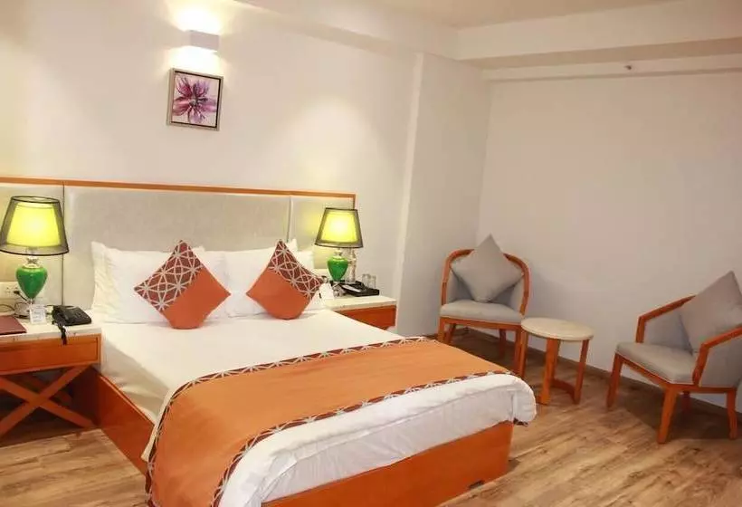 Mastiff Hotel Becharaji By Othpl