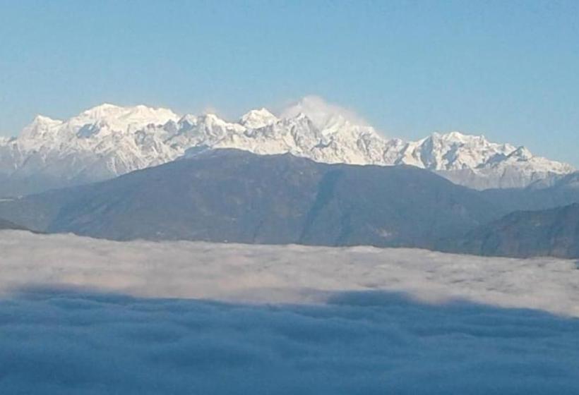 Hotel Vamoose Ashis Homestay