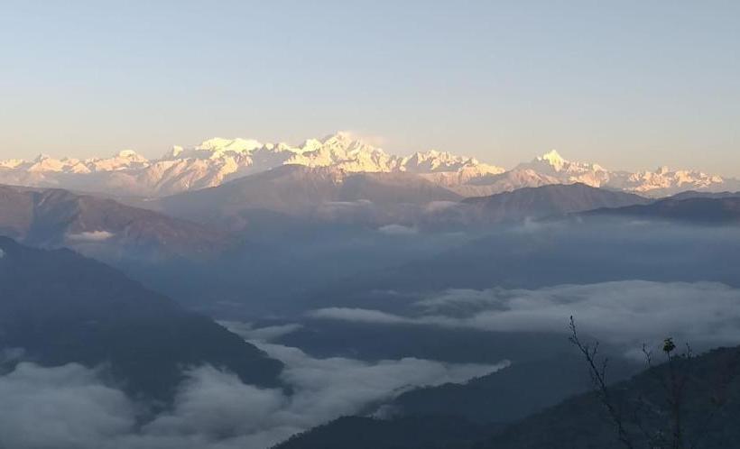 Hotel Vamoose Ashis Homestay