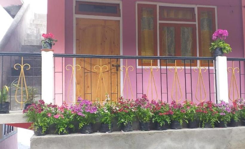 Hotel Vamoose Ashis Homestay