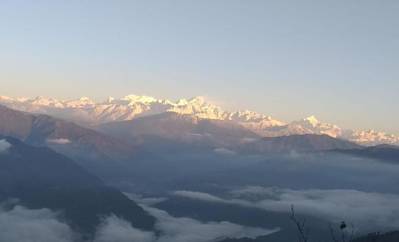 Hotel Vamoose Ashis Homestay