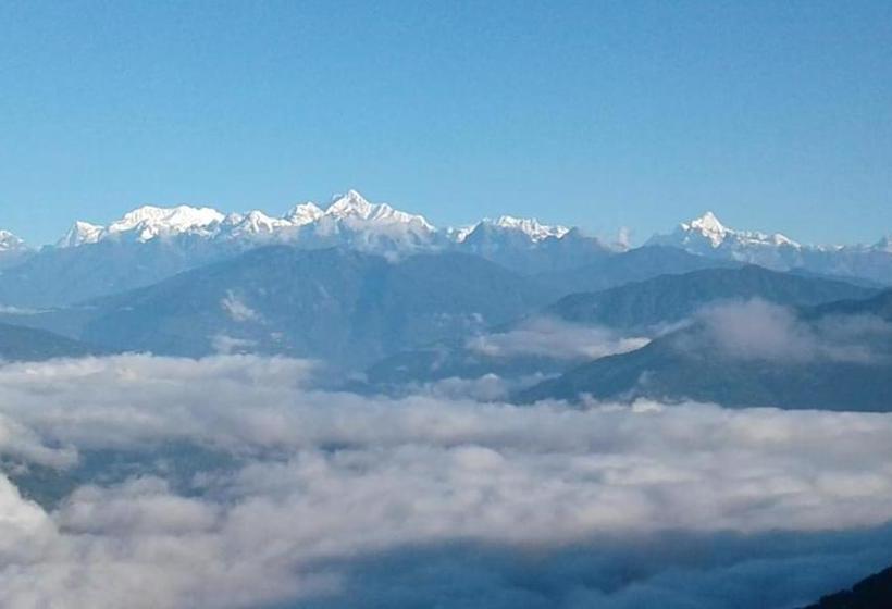 Hotel Vamoose Ashis Homestay