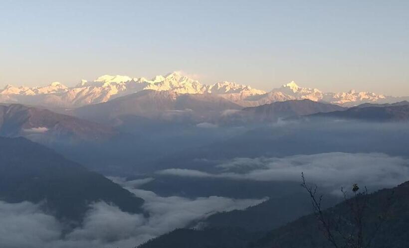 Hotel Vamoose Ashis Homestay