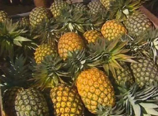 ホテル White Wall