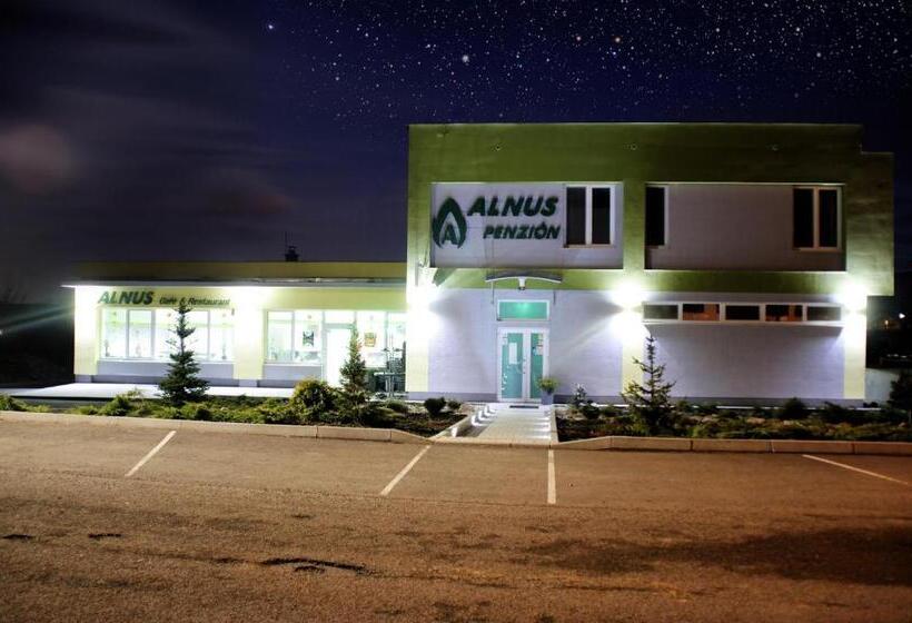 بنسيون Alnus Penzion