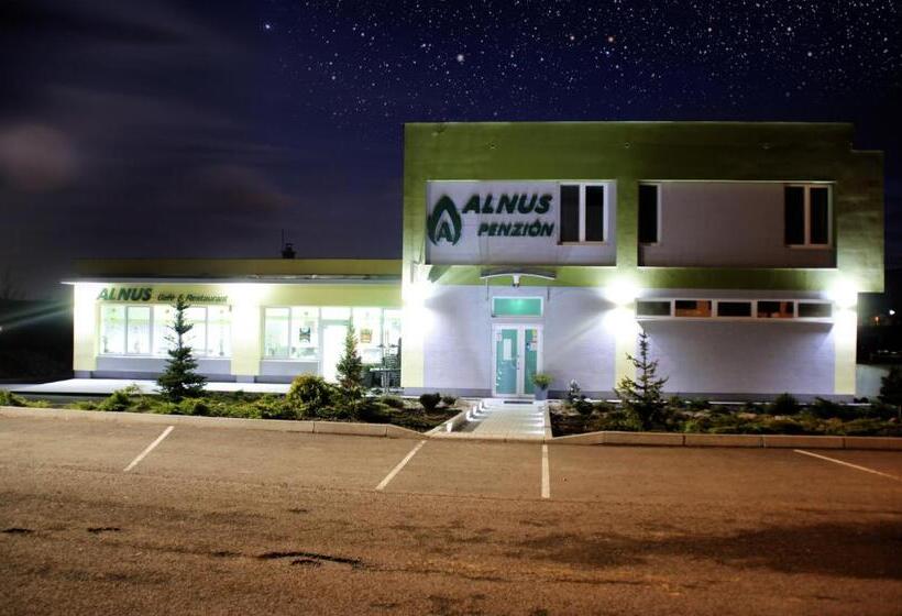 بنسيون Alnus Penzion