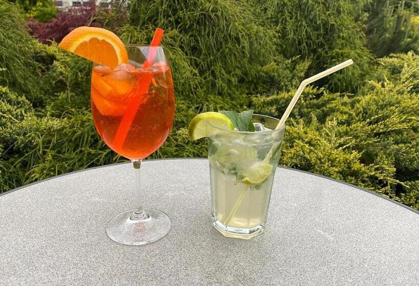 بنسيون Alnus Penzion