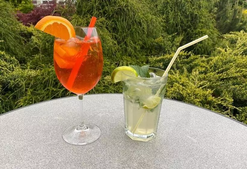 Majatalo Alnus Penzion