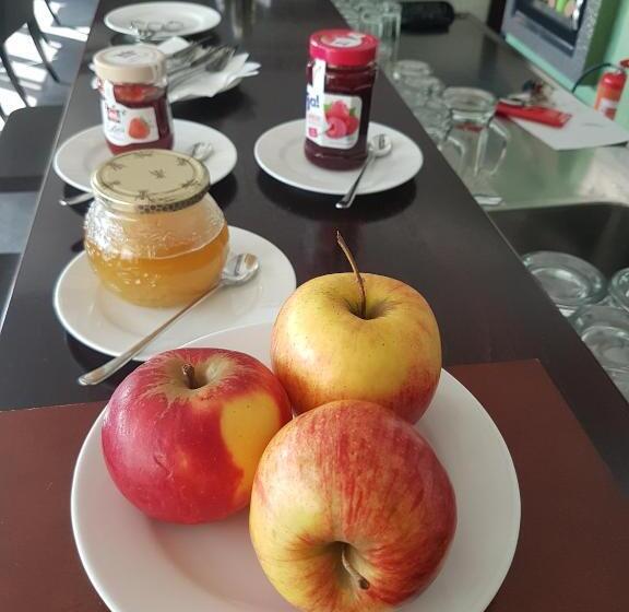 بنسيون Alnus Penzion