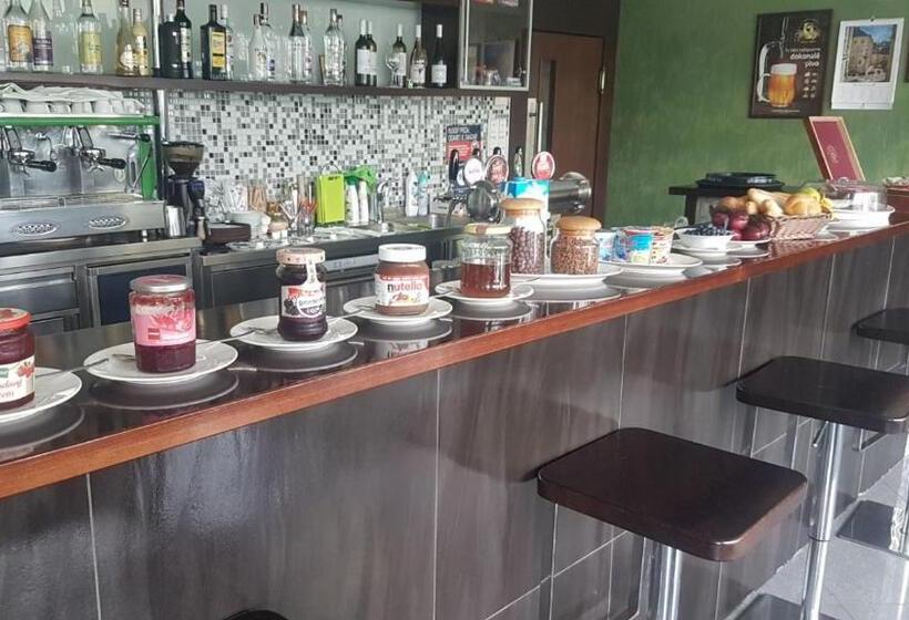 بنسيون Alnus Penzion