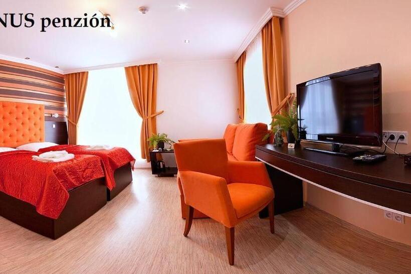 بنسيون Alnus Penzion