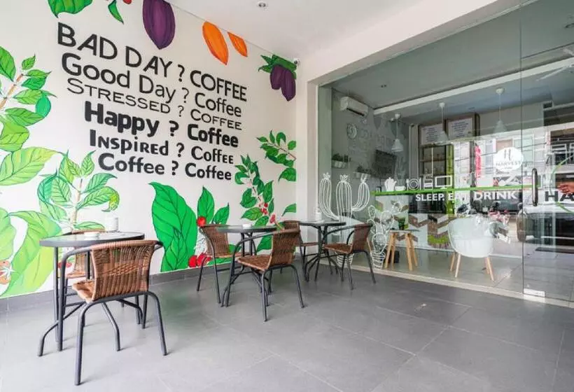 ペンション Reddoorz Plus At Harvest Inn Panakkukang