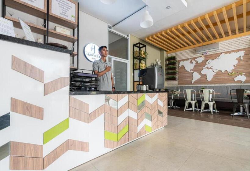 بنسيون Reddoorz Plus At Harvest Inn Panakkukang