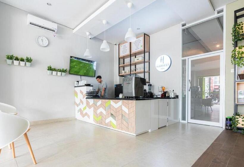 بنسيون Reddoorz Plus At Harvest Inn Panakkukang