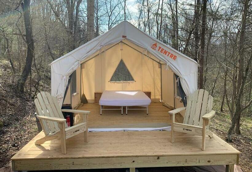 Auberge Hôtelière Tentrr - Flowing Brook Signature Site