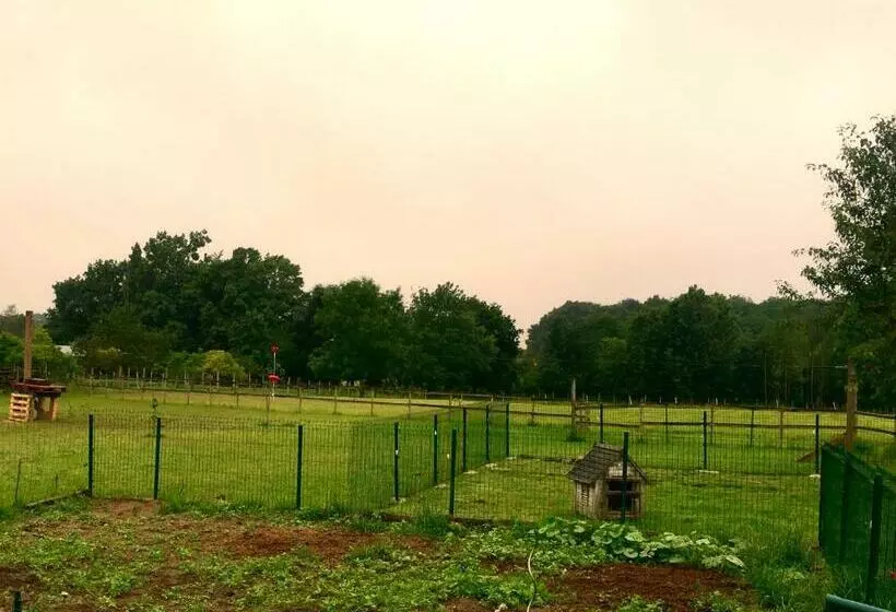 تختخواب و صبحانه La Petite Ferme