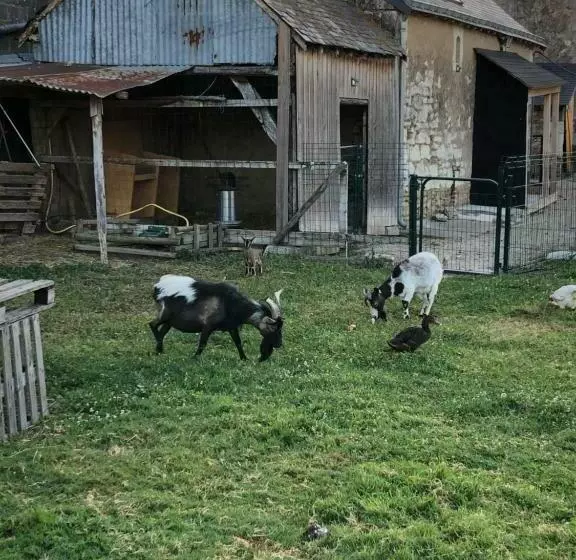 تختخواب و صبحانه La Petite Ferme