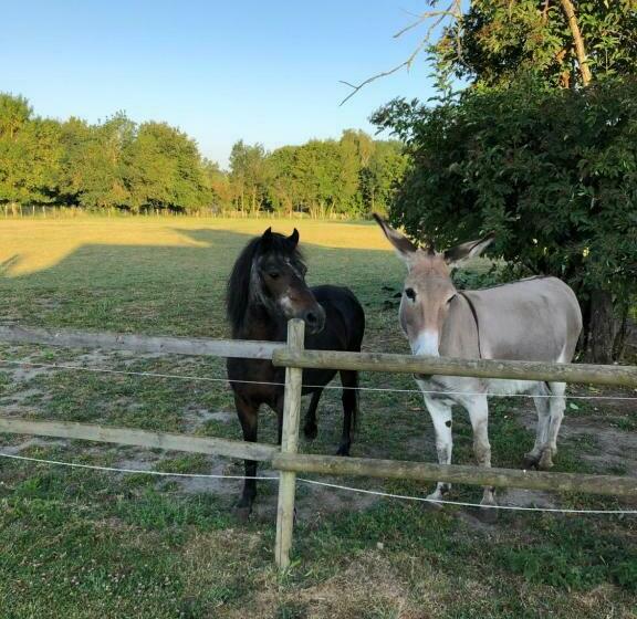 צימר La Petite Ferme