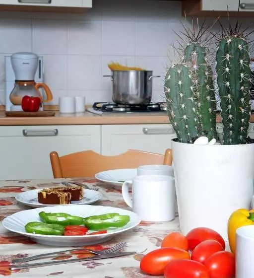 Hotelli Camping Garden Tourist