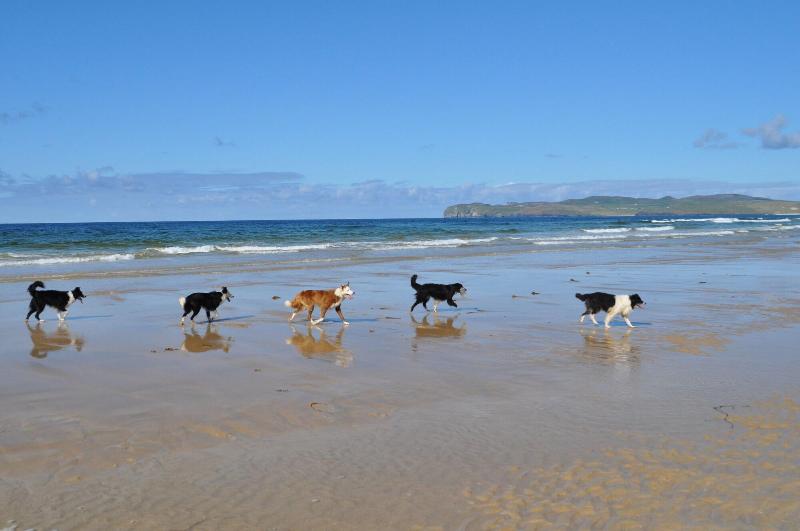 ホテル Ostán Loch Altan