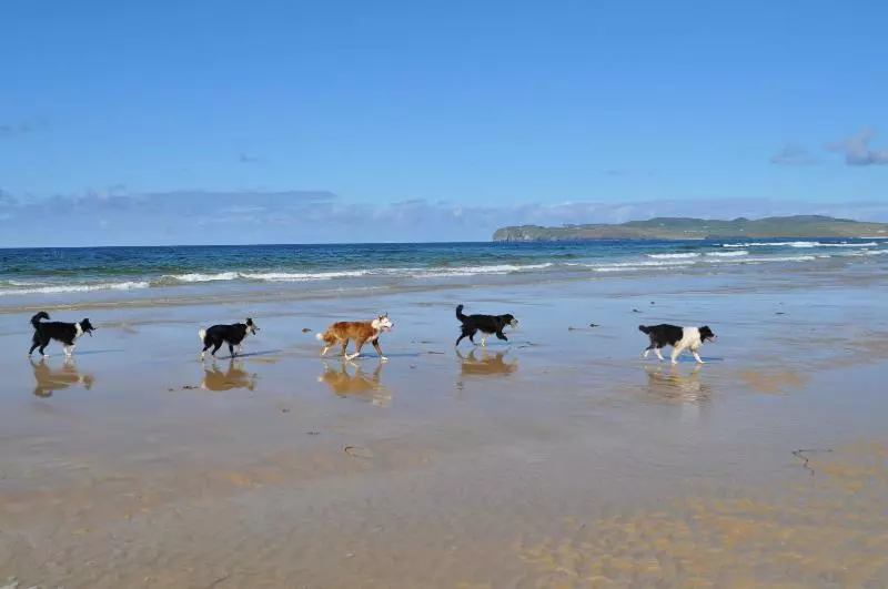 ホテル Ostán Loch Altan