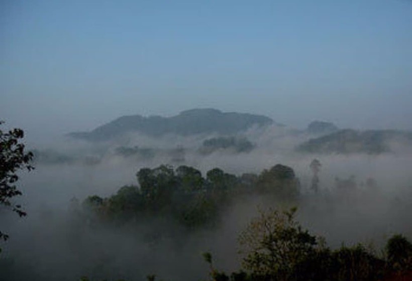 فندق Rainforest Edge