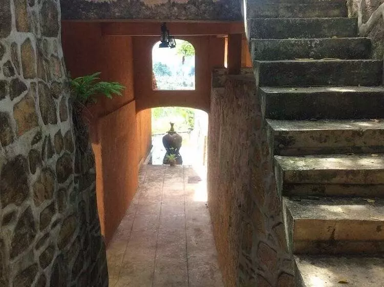 Hotelli Rainforest Edge