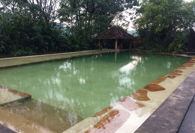 فندق Rainforest Edge