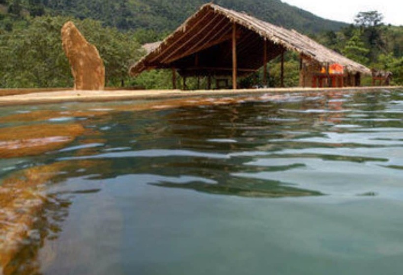 فندق Rainforest Edge