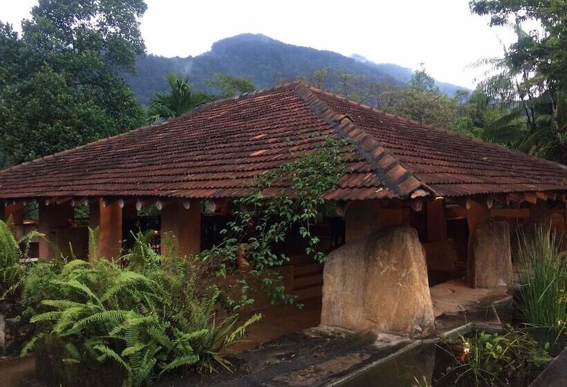 فندق Rainforest Edge