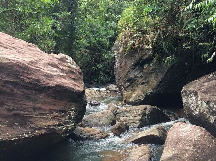 فندق Rainforest Edge