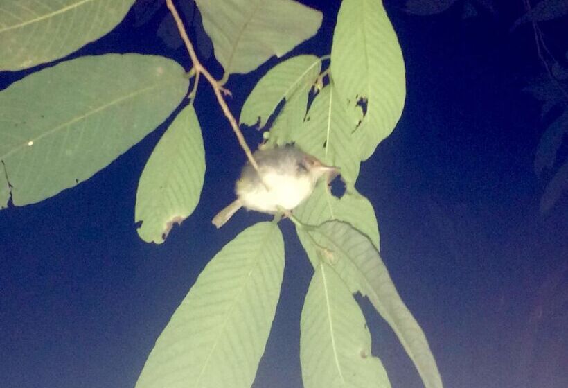 فندق Rainforest Edge