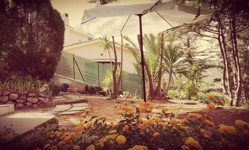 ベッドアンドブレックファースト White House