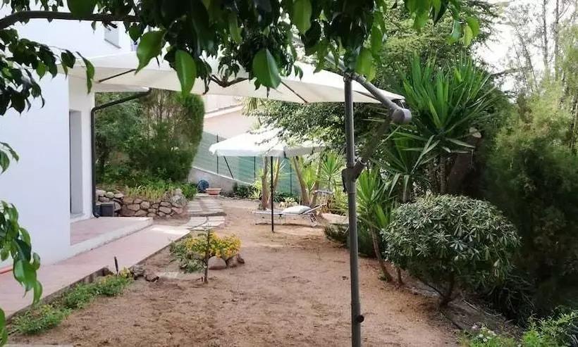 ベッドアンドブレックファースト White House