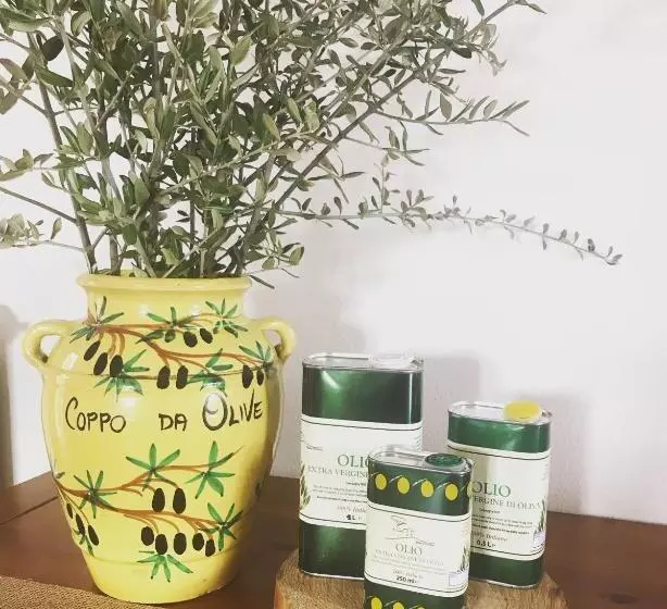 Maaseutuhotelli Agriturismo Podere Rondinaio