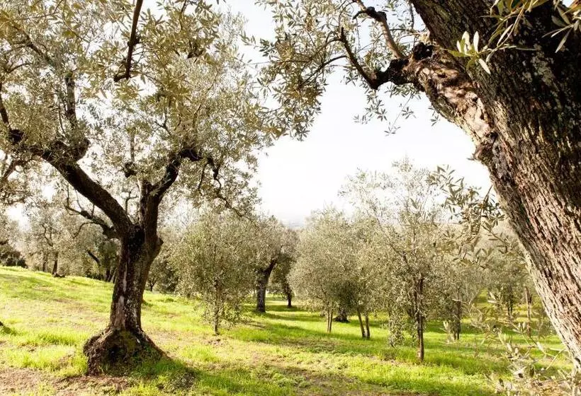 Maaseutuhotelli Agriturismo Podere Rondinaio