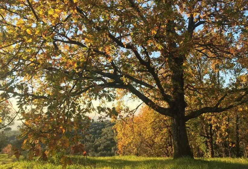 Maaseutuhotelli Agriturismo Podere Rondinaio