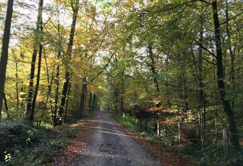 Majatalo Chateau De Bourgon