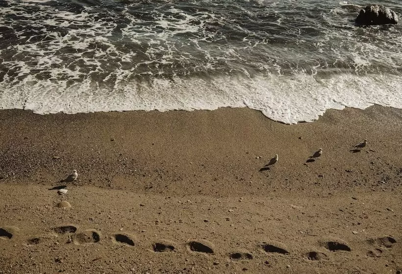 ペンション Th Luxury Rooms