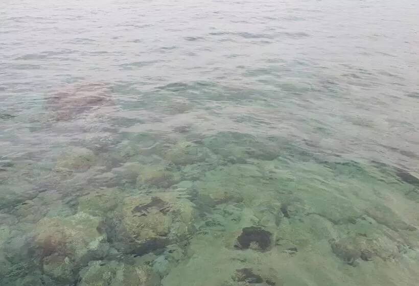 ペンション Th Luxury Rooms