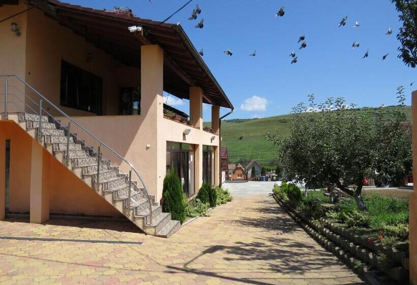 Pensiunea Baroque Slimnic