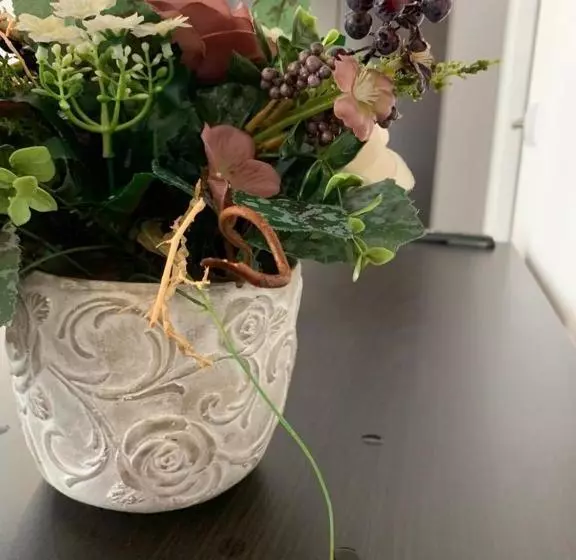 Majatalo Chic City Rooms